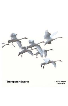 Poza produsului Trumpeter Swans - Marian Brickner