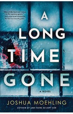 A Long Time Gone - Joshua Moehling