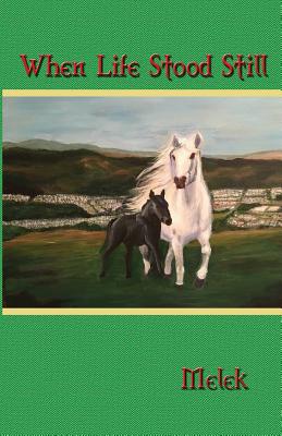 When Life Stood Still - 