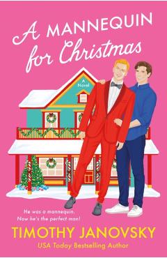 A Mannequin for Christmas - Timothy Janovsky
