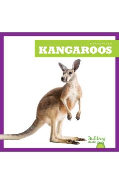 Poza produsului Kangaroos - Natalie Deniston