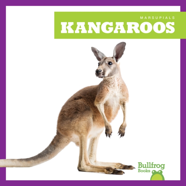 Kangaroos - Natalie Deniston