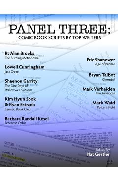 Coperta cărții 'Panel Three: Comic Book Scripts by Top Writers - Mark Waid'