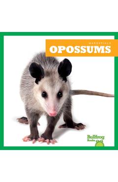 Poza produsului Opossums - Natalie Deniston