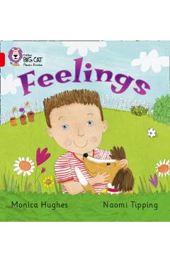 Coperta cărții 'Feelings - Monica Hughes'
