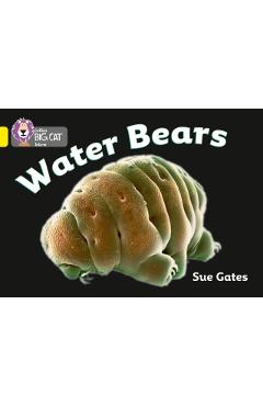 Coperta cărții 'Water Bears - Susan Gates'