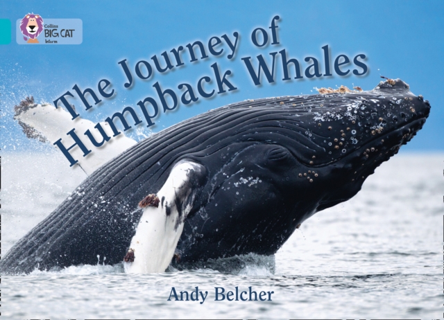 Journey of Humpback Whales - Andy Belcher