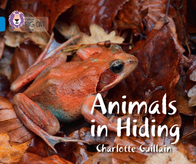 Animals in Hiding - Charlotte Guillain