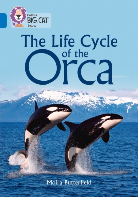 Life Cycle of the Orca - Moira Butterfield
