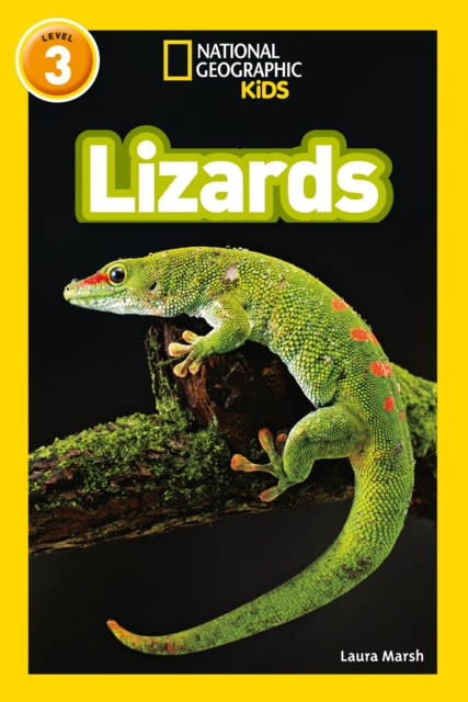 Lizards - Laura|national Geographic Kids Marsh