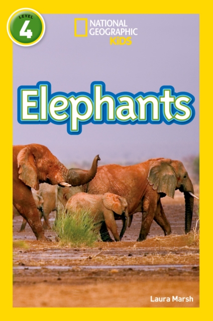 Elephants - Laura|national Geographic Kids Marsh