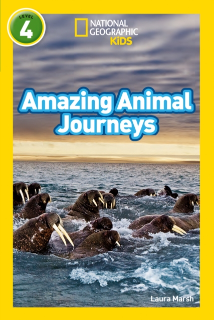 Amazing Animal Journeys - Laura|national Geographic Kids Marsh