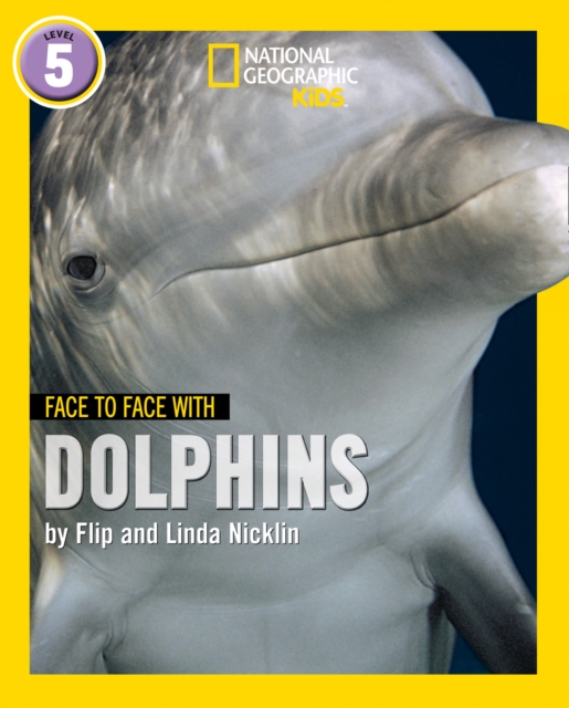 Face to Face with Dolphins - Flip|nicklin Nicklin