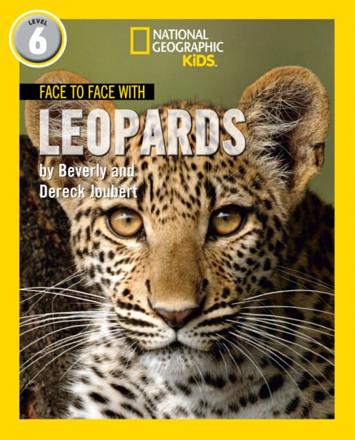 Face to Face with Leopards - Dereck|joubert Joubert