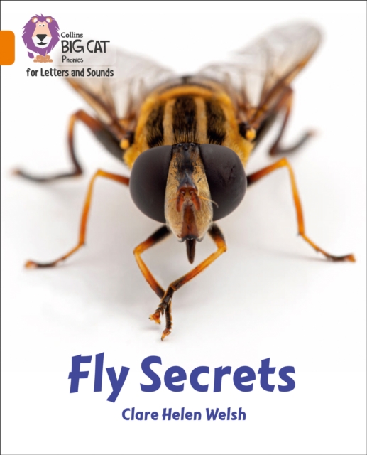 Coperta cărții 'Fly Secrets - Clare Helen Welsh'