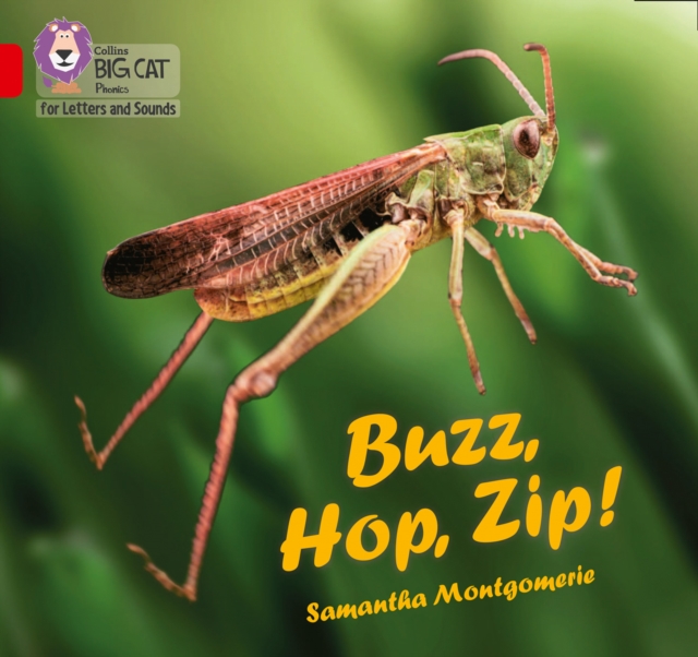 Buzz, Hop, Zip! - Samantha Montgomerie