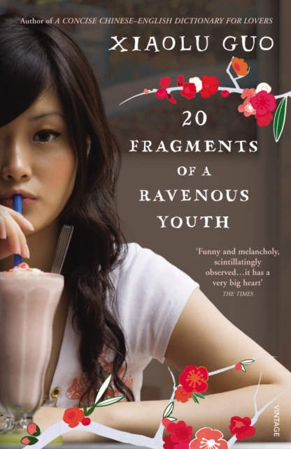 20 Fragments of a Ravenous Youth - Xiaolu Guo