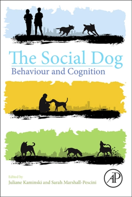 Social Dog - Juliane (university Of Portsmouth Kaminski