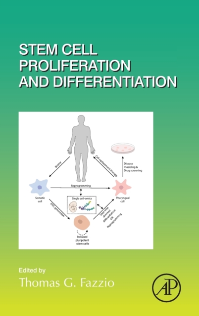 Stem Cell Proliferation and Differentiation - 
