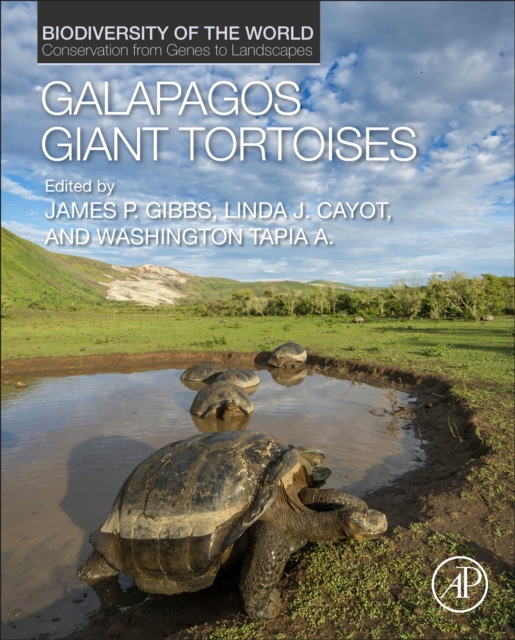 Galapagos Giant Tortoises - 