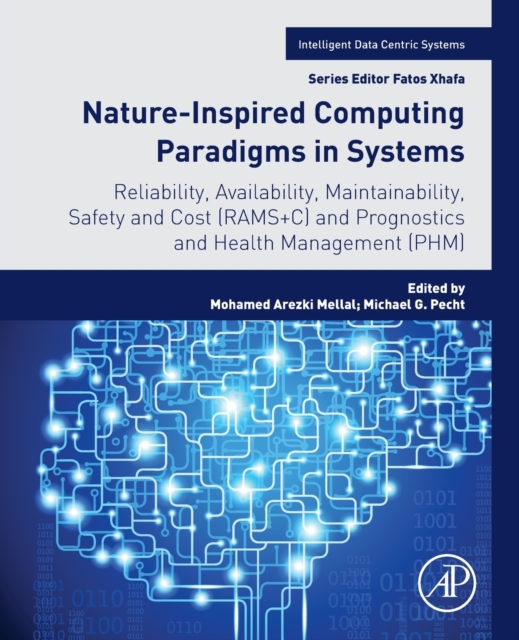 Nature-Inspired Computing Paradigms in Systems - 