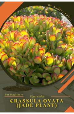 Coperta cărții 'Crassula ovata (Jade plant): Plant Guide - Andrey Lalko'