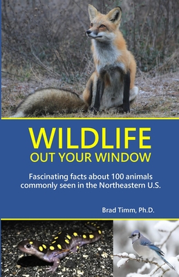 Wildlife Out Your Window: Fascinating Facts About 100 Animals Commonly Seen in the Northeastern U.S. - Brad Timm