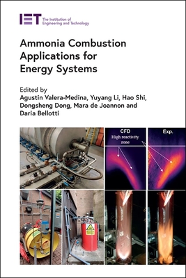 Ammonia Combustion Applications for Energy Systems - Agustin Valera-medina