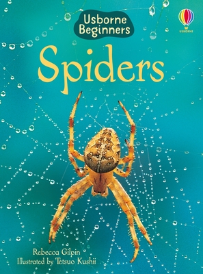 Spiders - Rebecca Gilpin