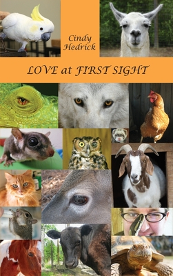 Love at First Sight - Cindy Hedrick