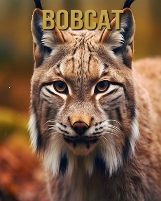 Bobcat: Amazing Picture and Facts About Bobcat for Children's - Sofia Cortez