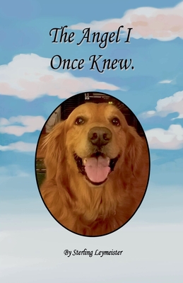 The Angel I Once Knew - Sterling Leymeister