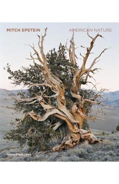 Mitch Epstein: American Nature - Mitch Epstein