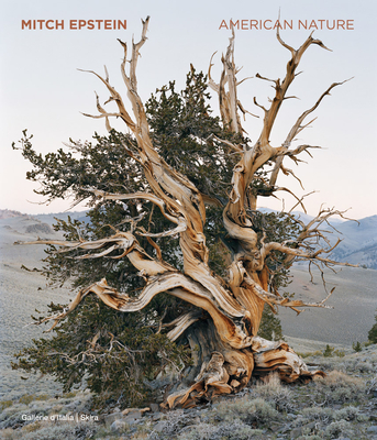 Mitch Epstein: American Nature - Mitch Epstein