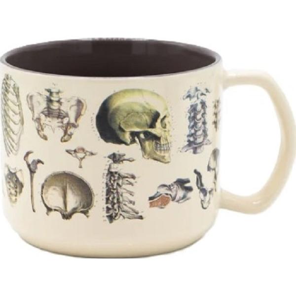 Cana. Skeleton