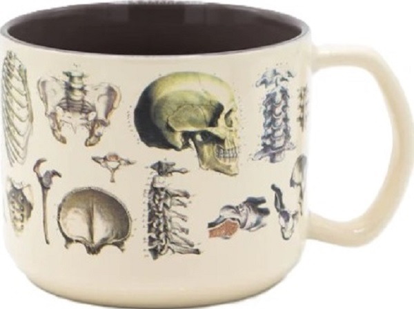 Cana. Skeleton