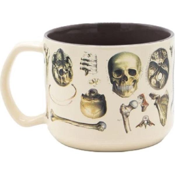 Cana. Skeleton