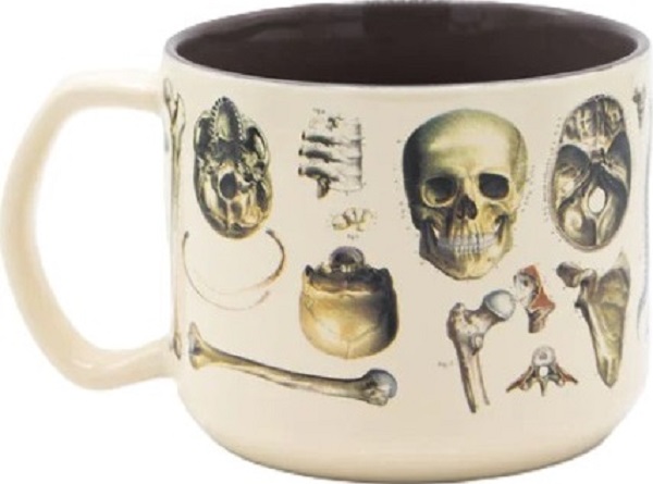 Cana. Skeleton