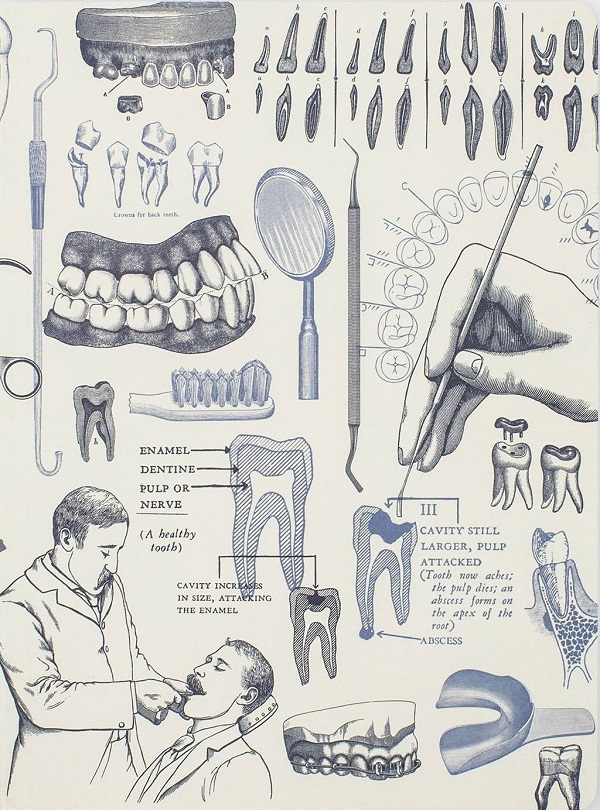 Caiet. Dentistry