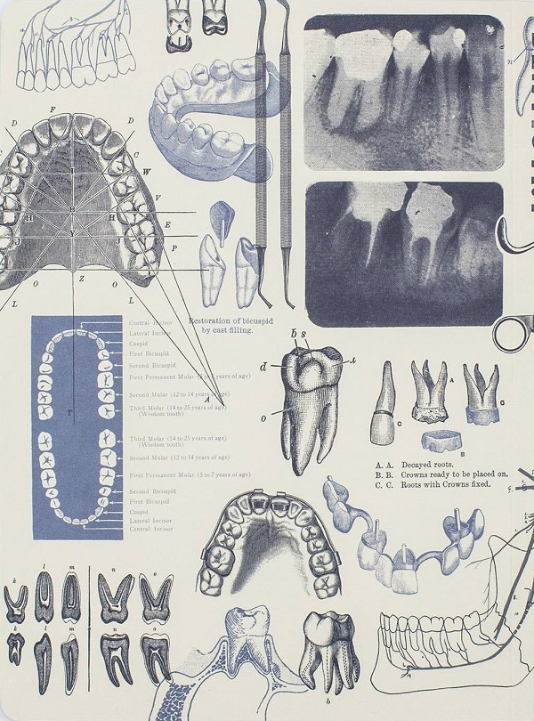 Caiet. Dentistry
