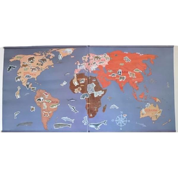 Animalele lumii. Set magnetic