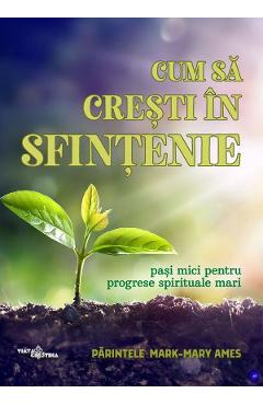 Poza produsului Cum sa cresti in sfintenie - Parintele Mark-Mary Ames