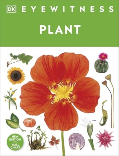 Eyewitness Plant - 
