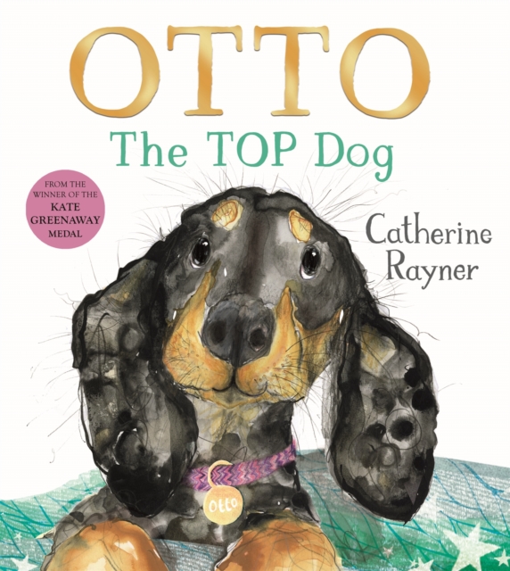 Otto The Top Dog - Catherine Rayner