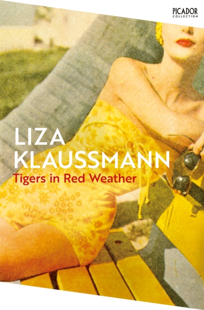 Tigers in Red Weather - Liza Klaussmann