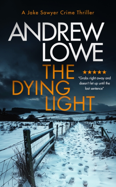 Dying Light - Andrew Lowe