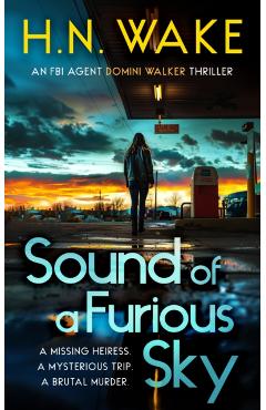Coperta cărții 'Sound of a Furious Sky - Hn Wake'