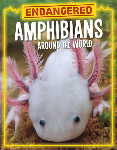 Endangered Amphibians Around the World - Lisa J. Amstutz