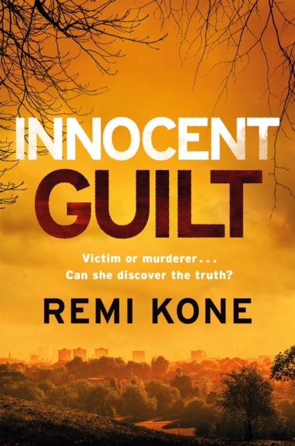 Innocent Guilt - Remi Kone