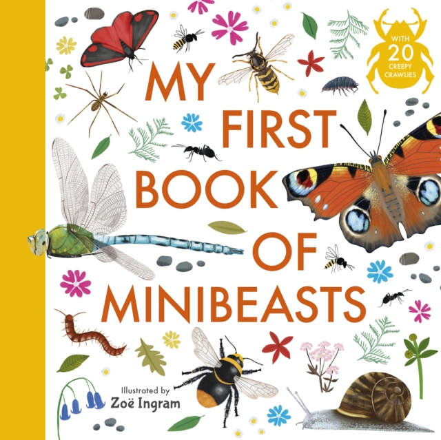 My First Book of Minibeasts -